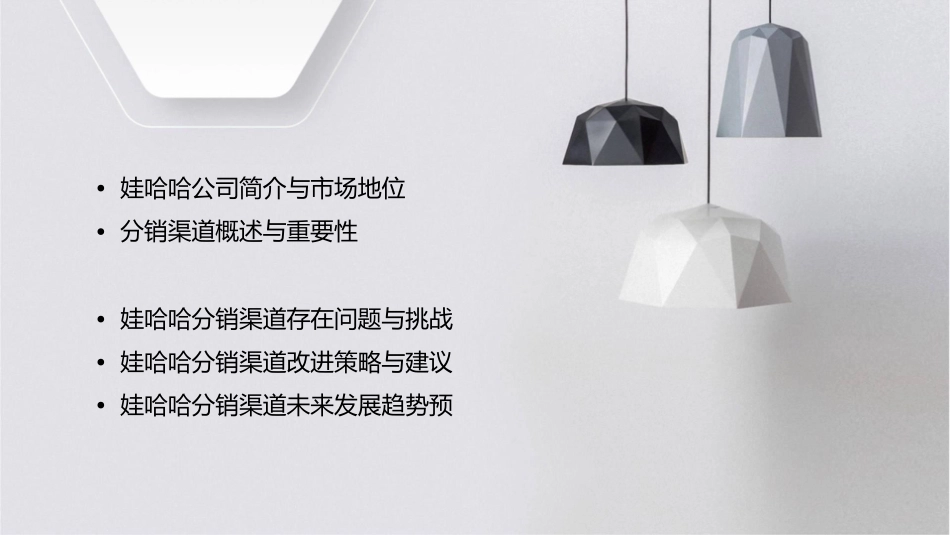 娃哈哈分销渠道分析课件_第2页