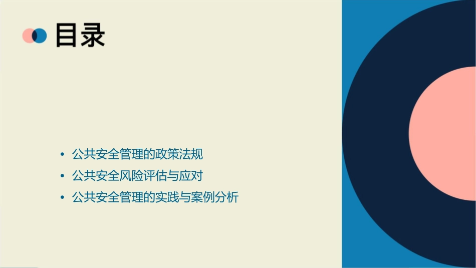 公共安全管理概述课件_第2页
