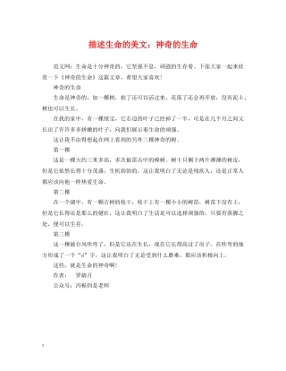 描述生命的美文：神奇的生命 