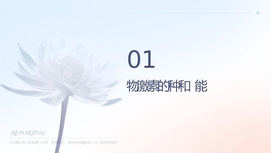 动物生命活动的调节二轮复习课件_第3页