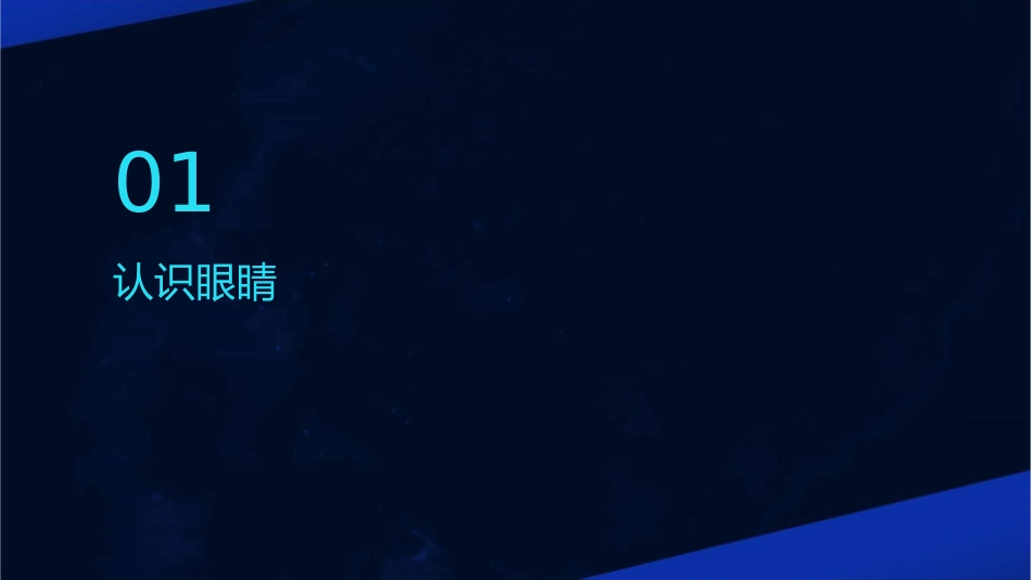 大班健康明亮的眼睛课件_第3页