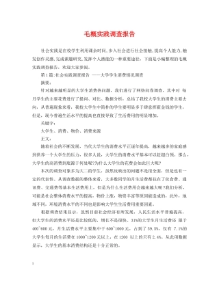 毛概实践调查报告 