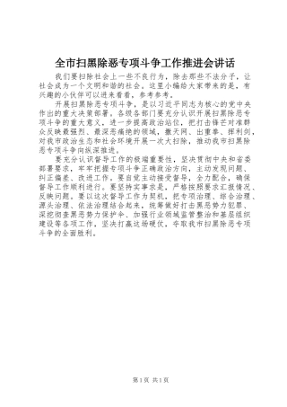 全市扫黑除恶专项斗争工作推进会讲话发言