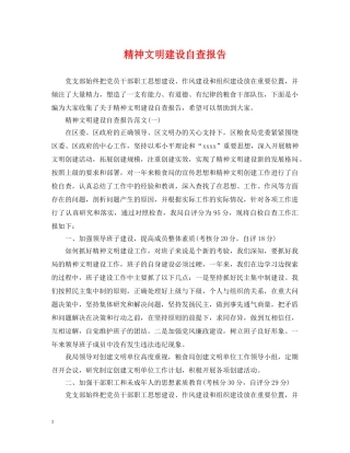 精神文明建设自查报告 