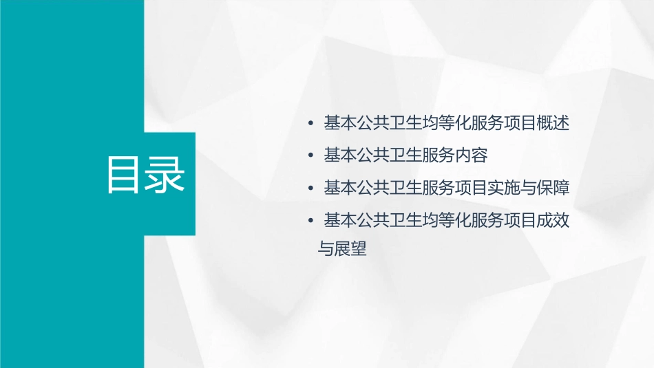 基本公共卫生均等化服务项目课件_第2页