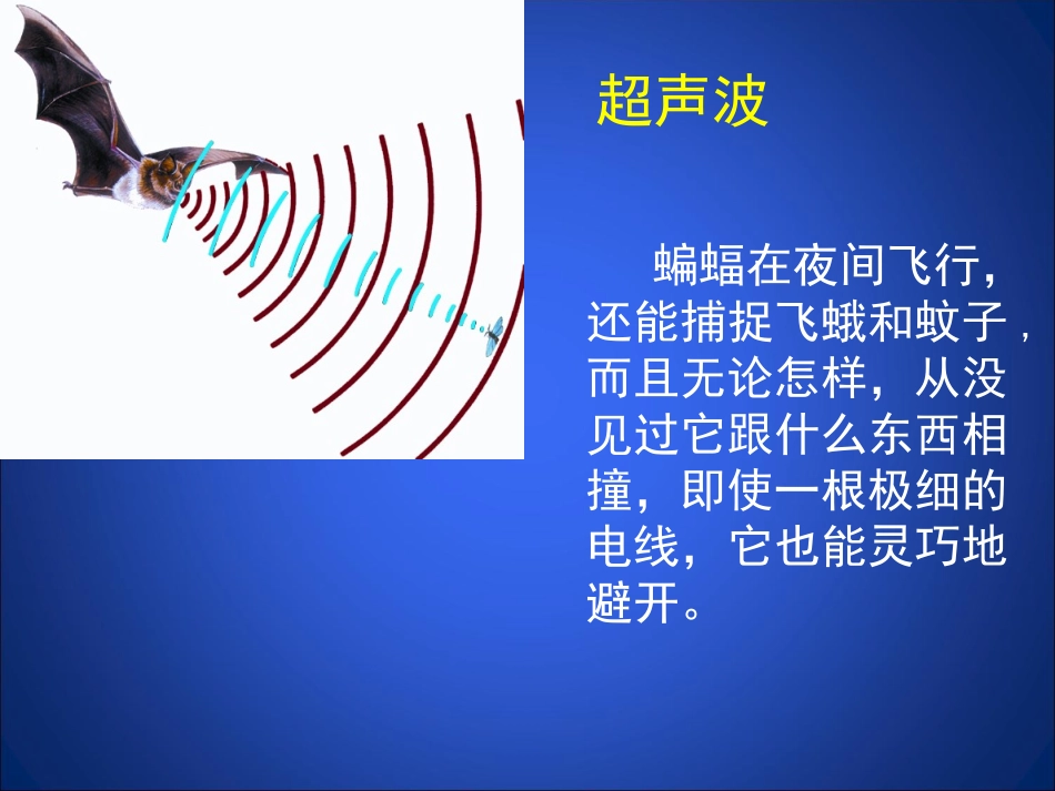 声现象在科技中的应用课件1_第2页