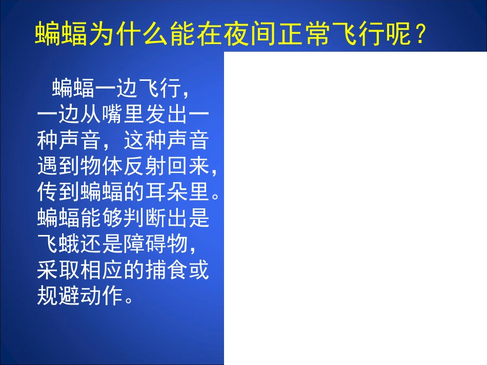 声现象在科技中的应用课件1_第3页