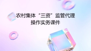农村集体“三资”监管代理操作实务课件