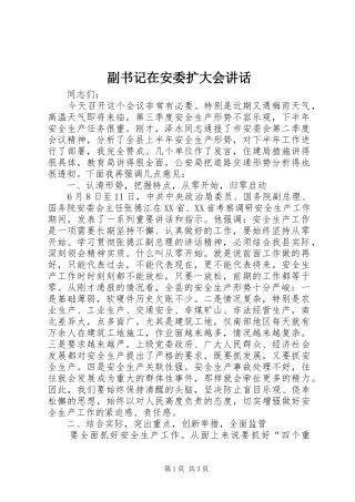 副书记在安委扩大会讲话发言