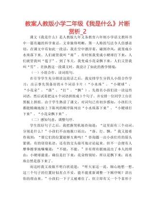 教案人教版小学二年级《我是什么》片断赏析_2 