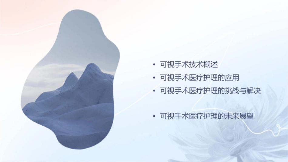 可视手术医疗护理课件_第2页