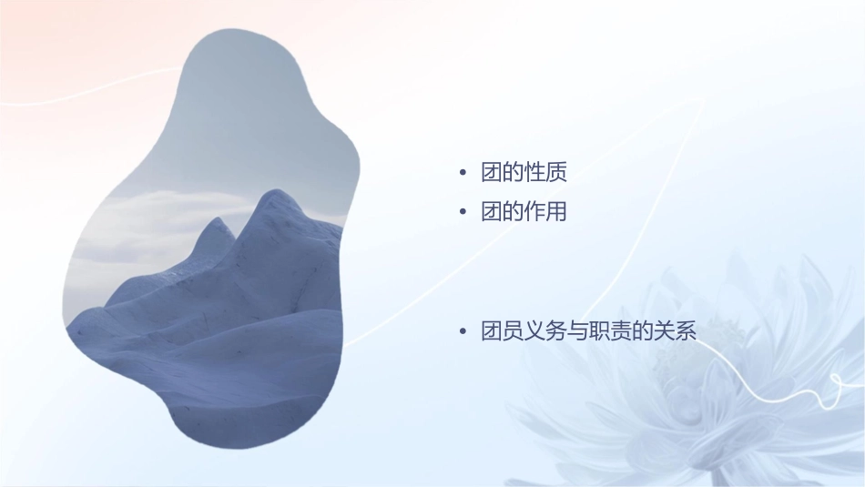 团的性质作用及团员的义务和职责分析课件_第2页