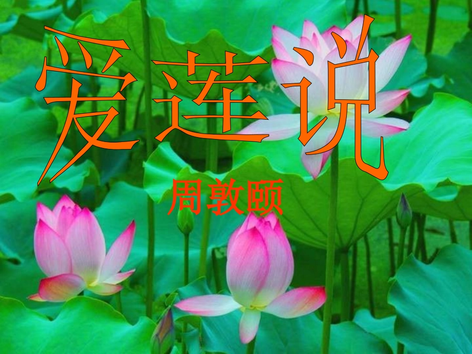 爱莲说 (3)_第1页