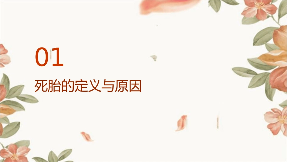 妊娠期间死胎病因与处理护理课件_第3页