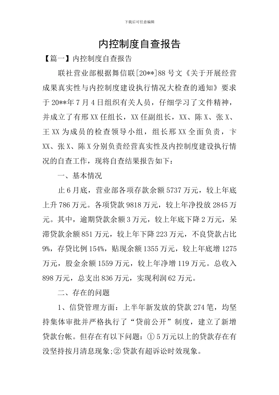 内控制度自查报告_第1页