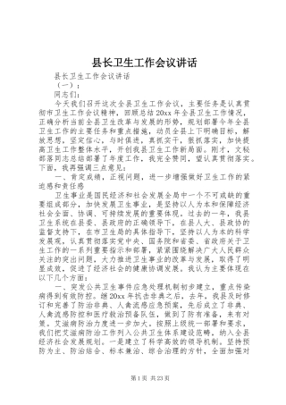 县长卫生工作会议讲话发言