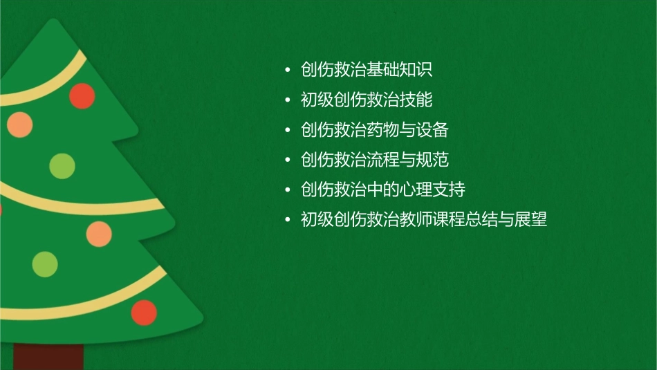 初级创伤救治教师课程课件_第2页