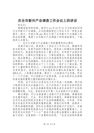 在全市新兴产业调查工作会议上的讲话发言