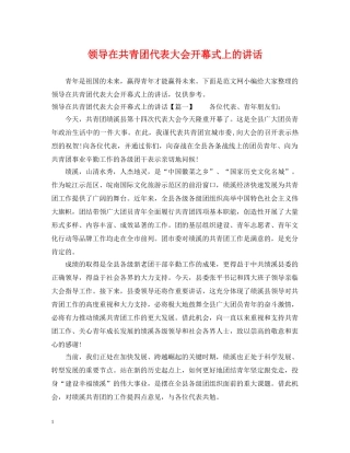 领导在共青团代表大会开幕式上的讲话 