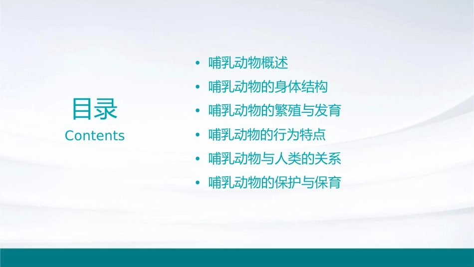 哺乳动物特点课件_第2页
