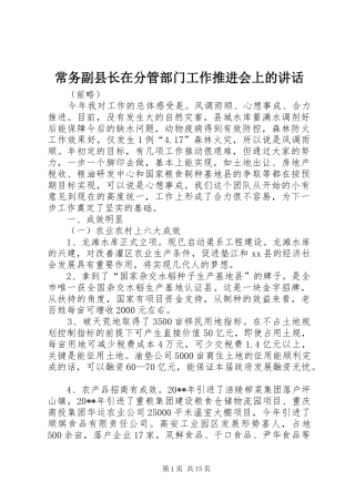 常务副县长在分管部门工作推进会上的讲话发言_1