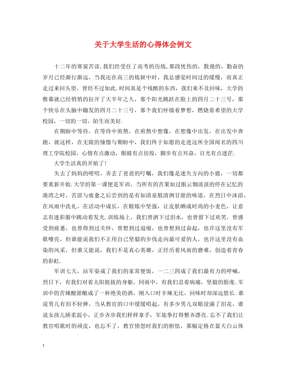 关于大学生活的心得体会例文 _第1页