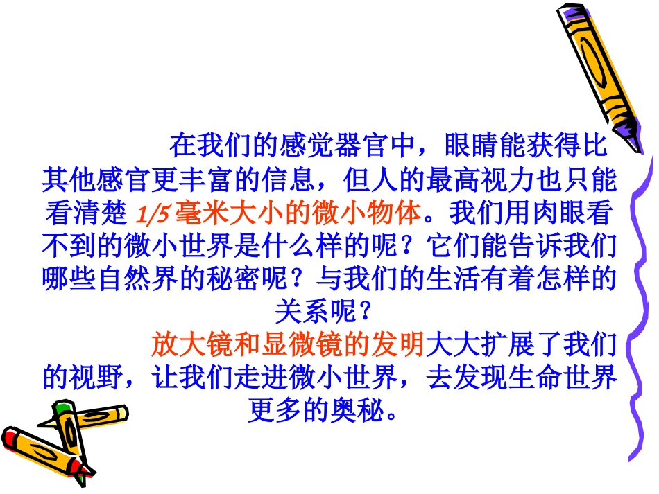 《放大镜》课件_第2页