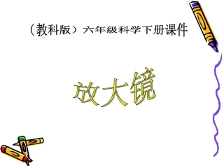 《放大镜》课件