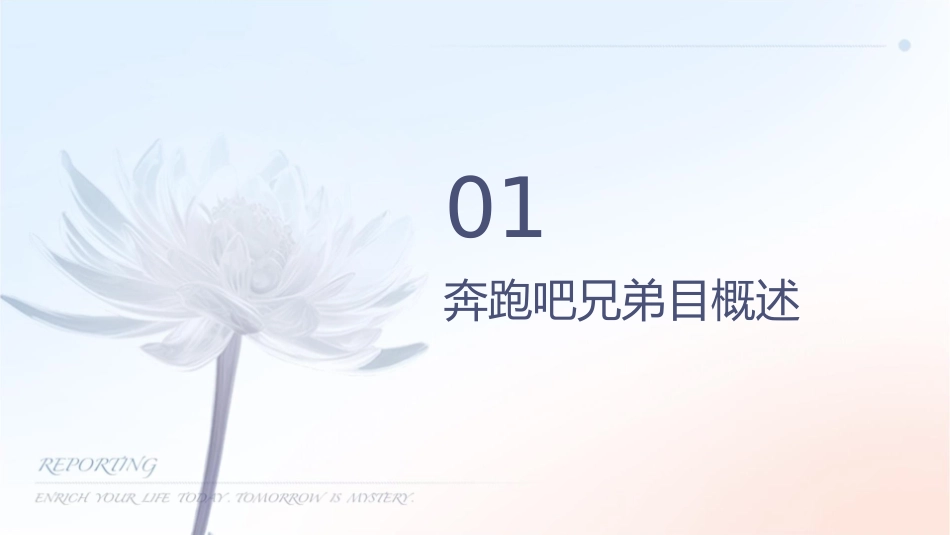 奔跑吧兄弟分析小组成员课件_第3页