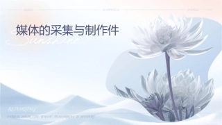 媒体的采集与制作课件