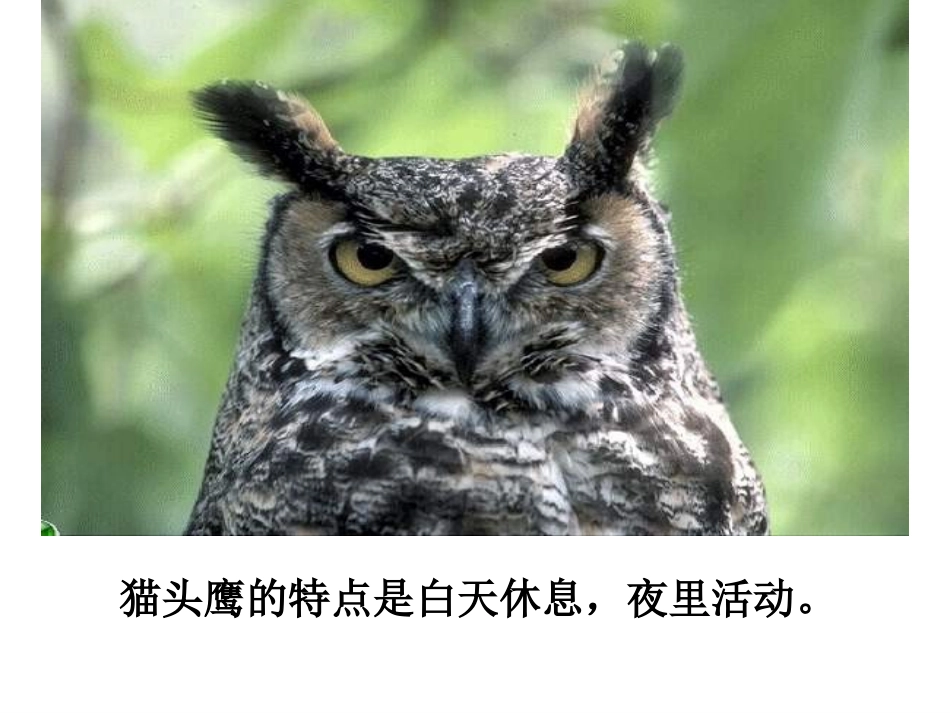 从现在开始PPT_第3页