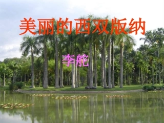 美丽的西双版纳2