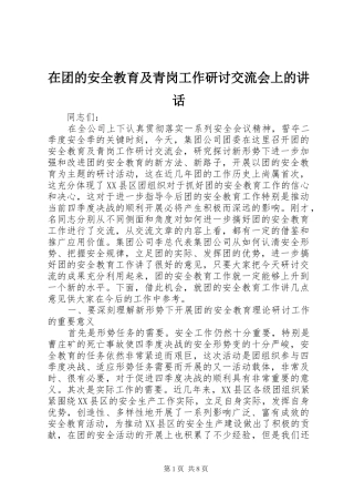 在团的安全教育及青岗工作研讨交流会上的讲话发言