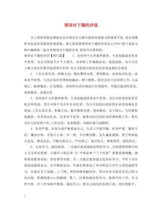 领导对下属的评语 
