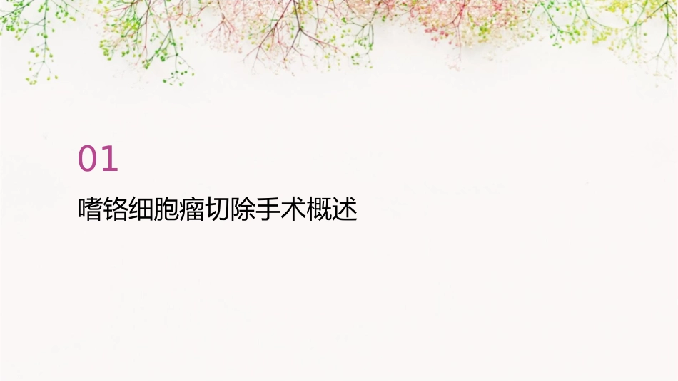 嗜铬细胞瘤切除手术的麻醉护理课件_第3页
