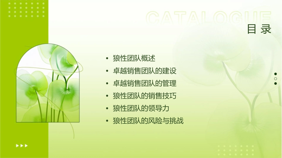 学学狼性团队卓越销售团队建设与管理课件_第2页
