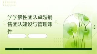 学学狼性团队卓越销售团队建设与管理课件