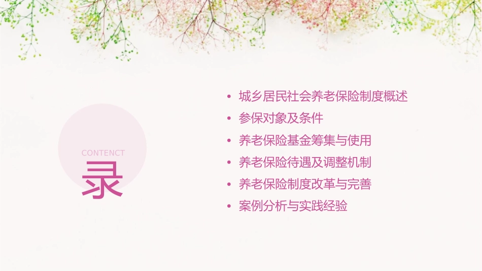 城乡居民社会养老保险制度课件_第2页