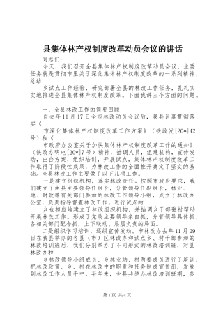 县集体林产权制度改革动员会议的讲话发言