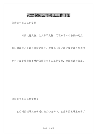 2024保险公司员工工作计划_5