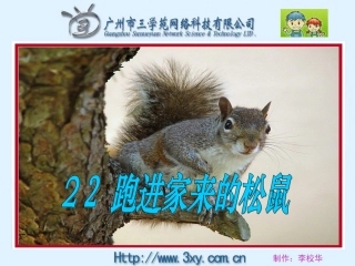 跑进家来的松鼠课件 (2)