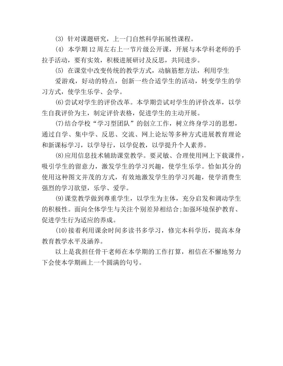 骨干老师工作参考计划范文 _第2页