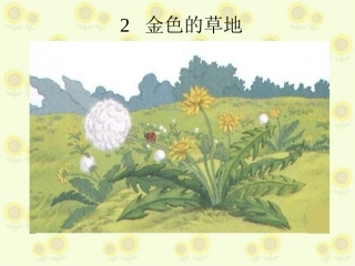 金色的草地PPT (3)