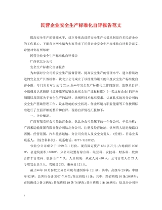 民营企业安全生产标准化自评报告范文 
