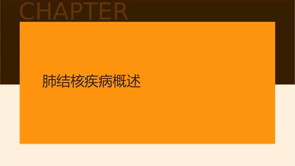 内科学 肺结核TB呼吸系统疾病护理课件_第3页