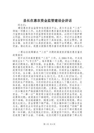 县长在惠农资金监管建设会讲话发言