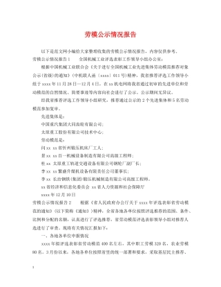 劳模公示情况报告 