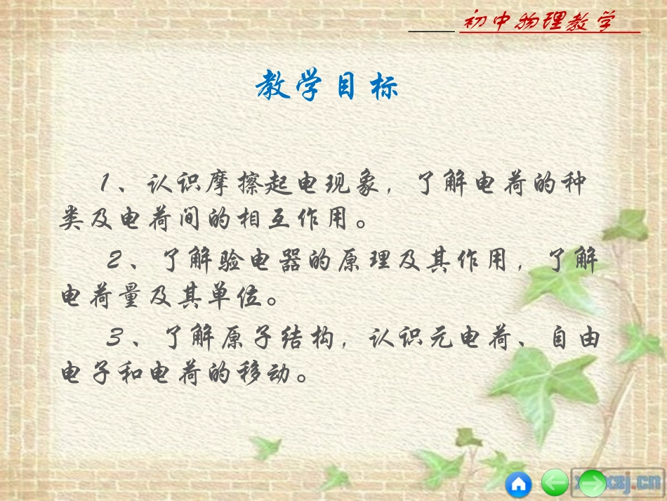 初中物理课件_51电荷_第2页