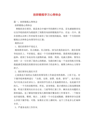 挂职锻炼学习心得体会 (000002)