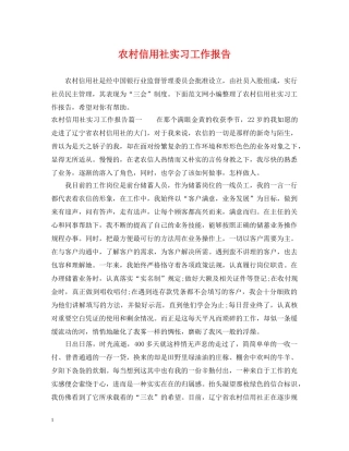 农村信用社实习工作报告